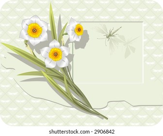 frame with narcissuses