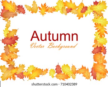 Frame of oak leaf abstract background seasonal vector illustration. Autumn leaves falling graphic design. Fall season specific border frame vector background. Oak tree autumn foliage on white.