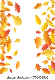 Frame of oak leaf abstract background seasonal vector illustration. Autumn leaves falling graphic design. Fall season specific border frame vector background. Oak tree autumn foliage on white.