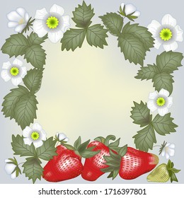 Frame off strawberry fruits,leaves and flowers.