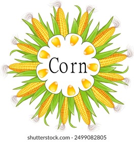 Frame on a background of corn.Vector illustration with corn cobs in a circle and text in a frame.