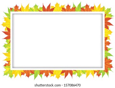 frame on maple leaves