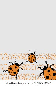Frame orange ladybug