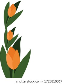 
marco de tulipanes anaranjados en vector