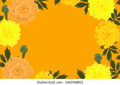 Frame of orange and yellow marigold flowers. Vector graphics.