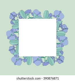 Frame of orchids 