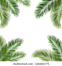 Frame With Palm Leaf Isolated White Background With Gradient Mesh, Vector Illustration