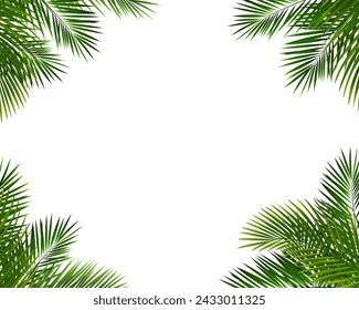 Frame With Palm Leaf Isolated White Background With Gradient Mesh, Vector Illustration