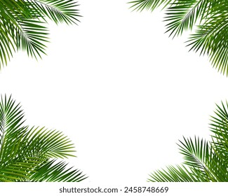 Frame With Palm Leaf Isolated White Background 
With Gradient Mesh, Vector Illustration