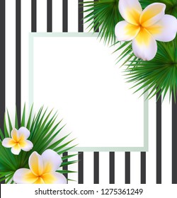 Frame with Palm Leaf Vector Background Vector llustration EPS10
