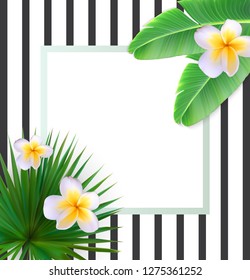 Frame with Palm Leaf Vector Background Vector llustration EPS10
