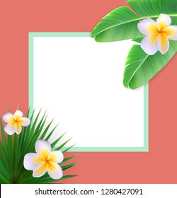 Frame with Palm Leaf Vector Background Vector llustration EPS10