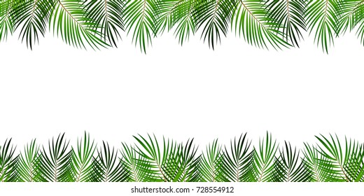 Frame from Palm Leaf with White Background. Vector Illustration. EPS10