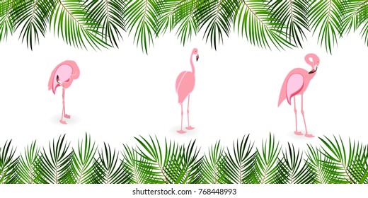 Frame from Palm Leaf with White Background. Vector Illustration. EPS10