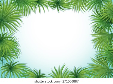 Frame of palm leaves on white background