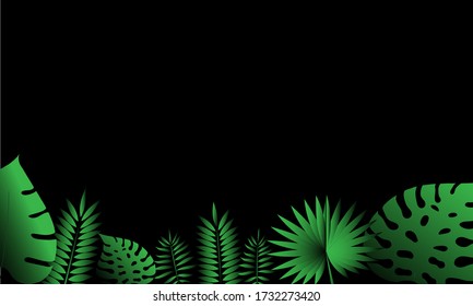 Frame of palm leaves, tropical hawaii jungle on the background. Vector illustration