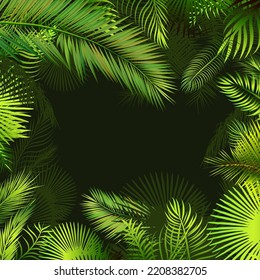 Frame with palm leaves. Vector illustration