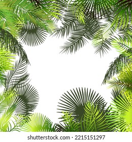 Frame with palm leaves. Vector illustration