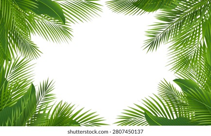 Frame Palm Tree Branch And White Background , Vector Illustration