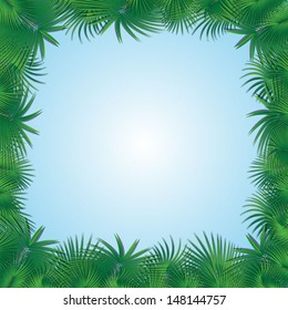 frame from palm tree branches
