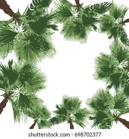 A frame from palm trees