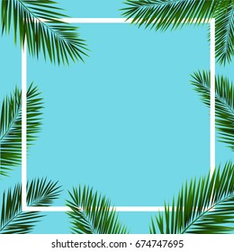Frame With Palm Trees, Vector Illustration