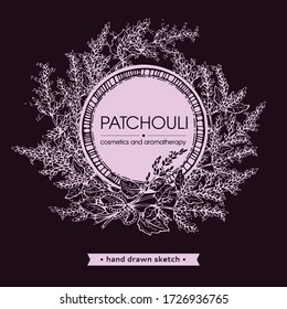Frame with Patchoulis inflorescences and flowers and branch with leaves . Detailed hand-drawn sketches, vector botanical illustration.  