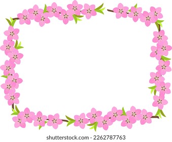 Frame of peach branches in full bloom