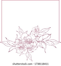frame with peony flower for greeting card or congratulation.vector illustration