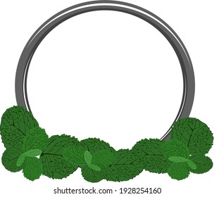 frame, peppermint with various colored leaves, vector frames decorated with rectangular and circular text