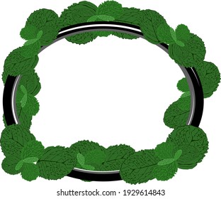 frame, peppermint with various colored leaves, vector frames decorated with rectangular and circular text