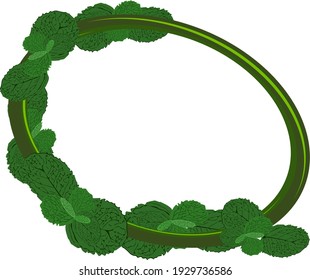 frame, peppermint with various colored leaves, vector frames decorated with rectangular and circular text