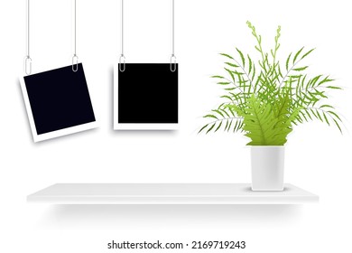 frame photo on empty wooden shelf with fern leaf in white vase on wall background, home decor concept, vector illustration
