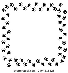 frame,  photo frame, paws, cat paws