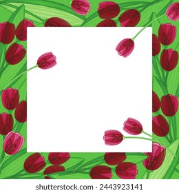 Frame for photos, pictures, inscriptions, wishes. Red tulips on a background of leaves.

