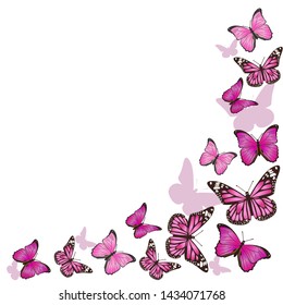 Frame of pink butterflies in flight. Isolated on white background. Vector graphics.