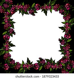 Frame of pink flowers, black, white, marjoram, leaves, stem, foliage, cartoon style, banner, poster, invitation, postcard, card, empty space, text space, advertising, signboard, greetings, botanical