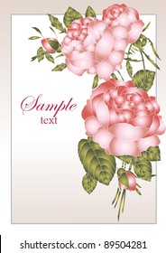  frame and pink roses vector