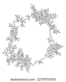 frame of plants and flowers. graphics frame made of natural elements. wedding frame made of flowers. twigs and flowers vector. black and white graphics of plants