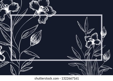 frame with plants and herbs isolated icon