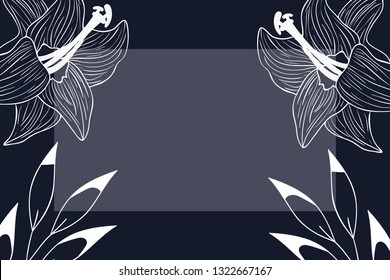 frame with plants and herbs isolated icon