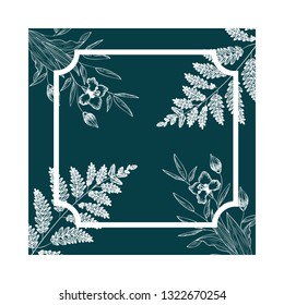 frame with plants and herbs isolated icon