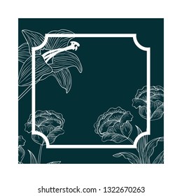 frame with plants and herbs isolated icon