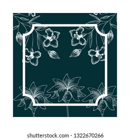 frame with plants and herbs isolated icon