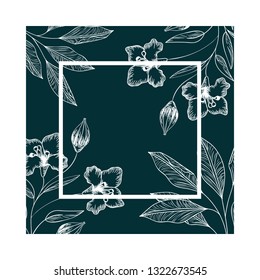 frame with plants and herbs isolated icon