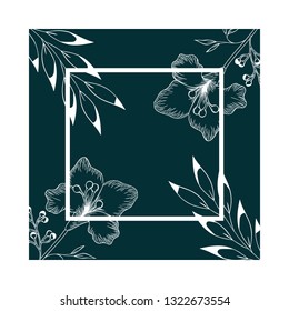 frame with plants and herbs isolated icon