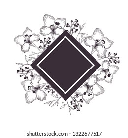frame with plants and herbs isolated icon