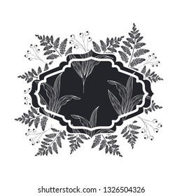 frame with plants and herbs isolated icon