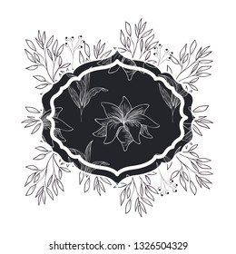 frame with plants and herbs isolated icon