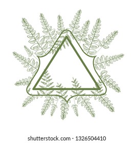frame with plants and herbs isolated icon
